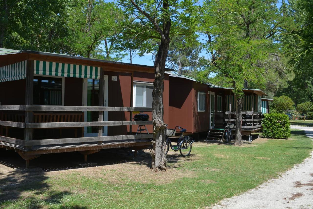 Camping Village Capalonga บิบิโอเน ภายนอก รูปภาพ